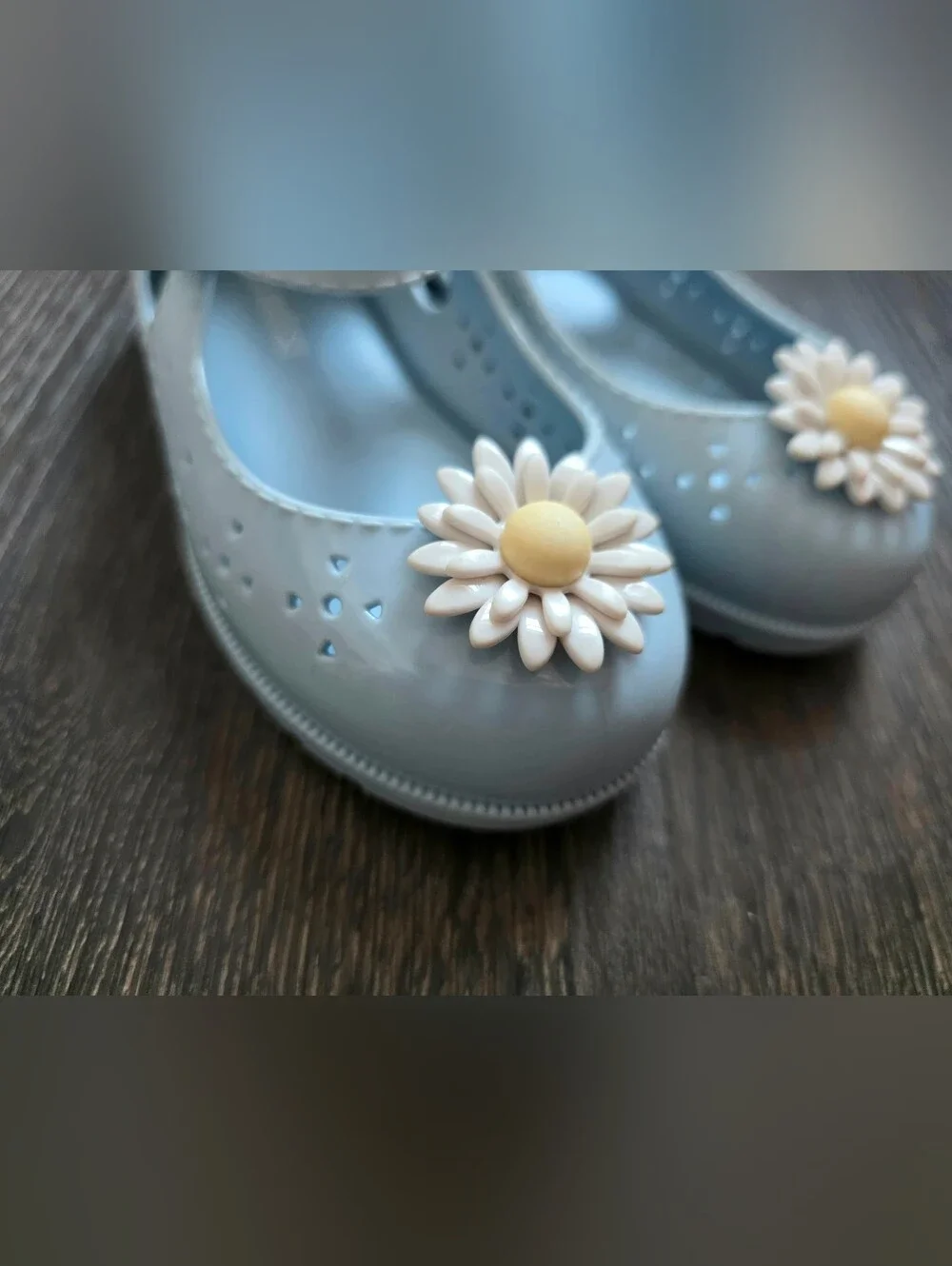 Mini Melissa blue daisy flower Mary Jane jelly shoes